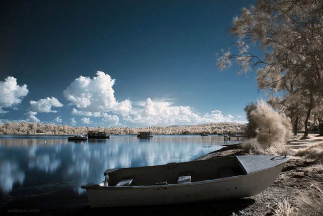 infrared photography