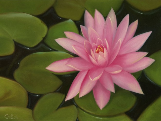 lotus flower painting