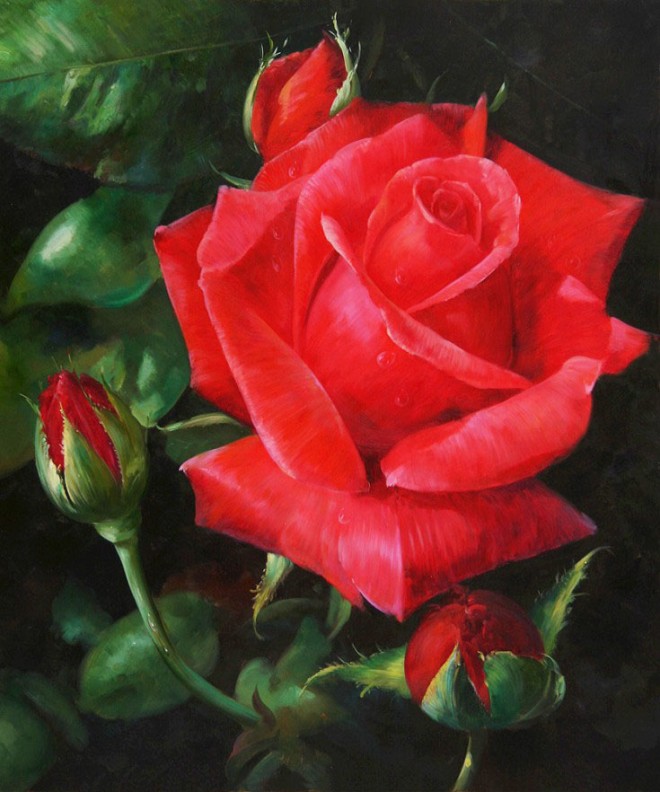 rose flower painting