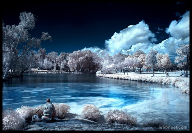infrared photography