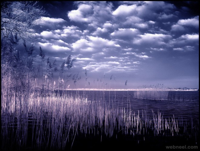 infrared photography bymichilauke