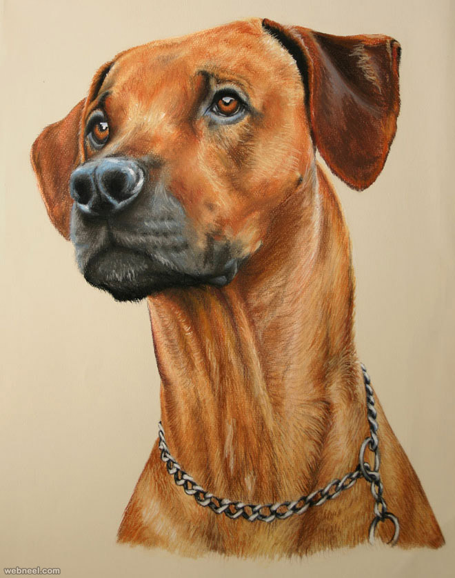 dog pastel drawing by escykane