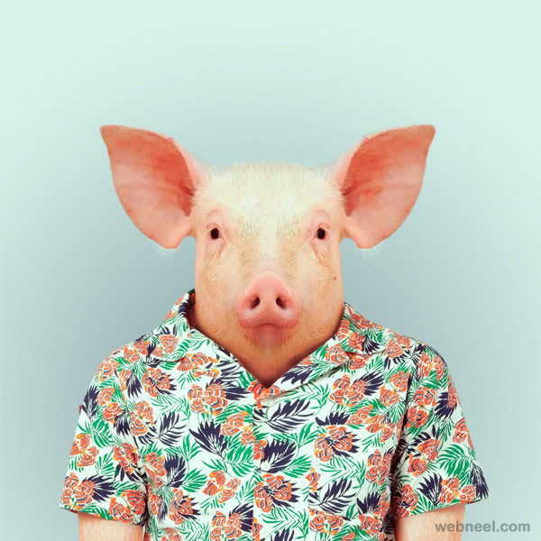 animal portrait photography