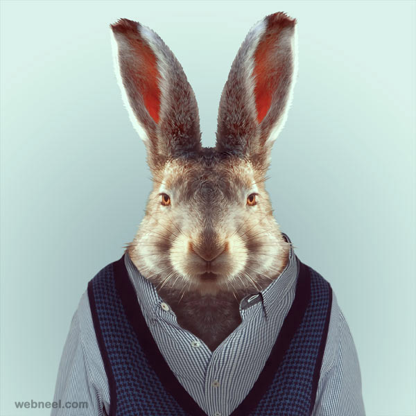 animal portrait photography