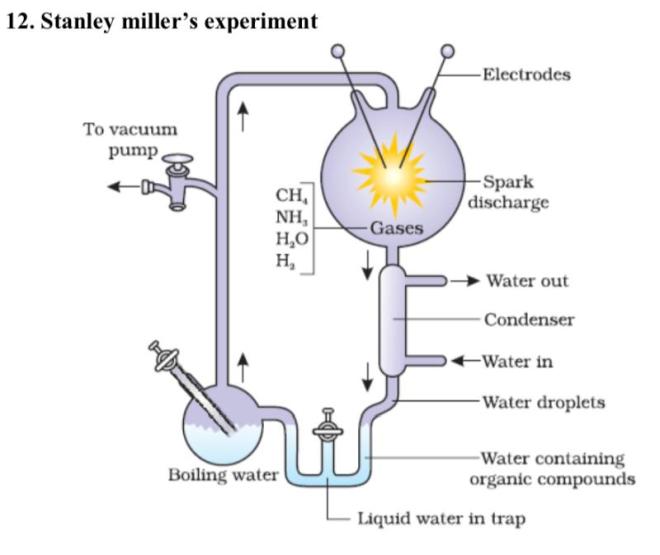 diagrammatic drawing of stanley millers experiment