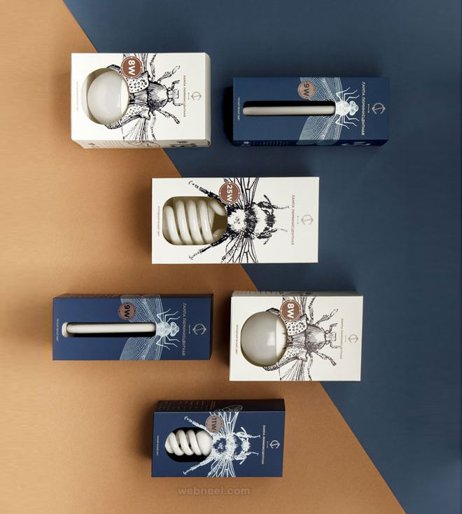 package design bulb