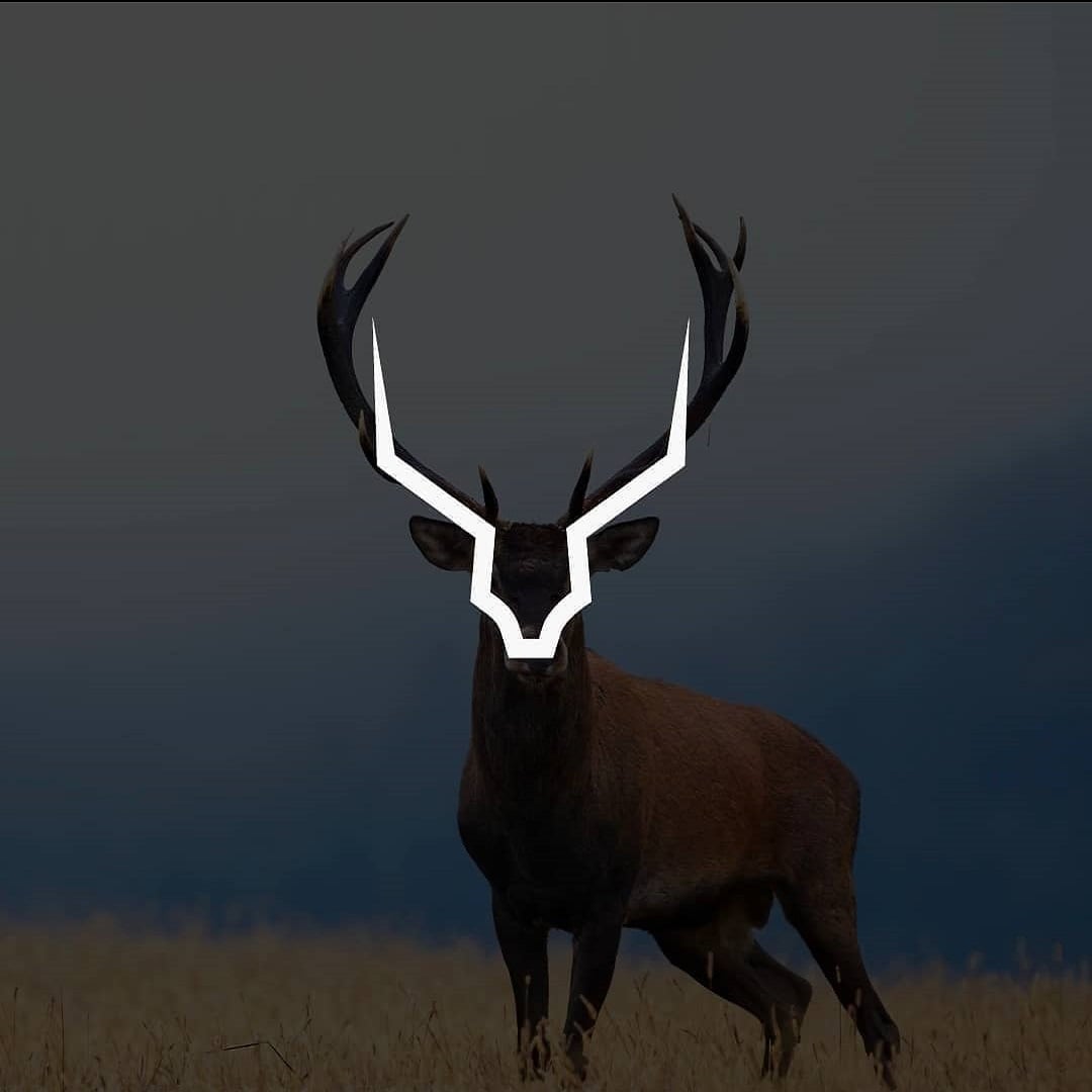 animal logo design reindeer by hamed khan haidari