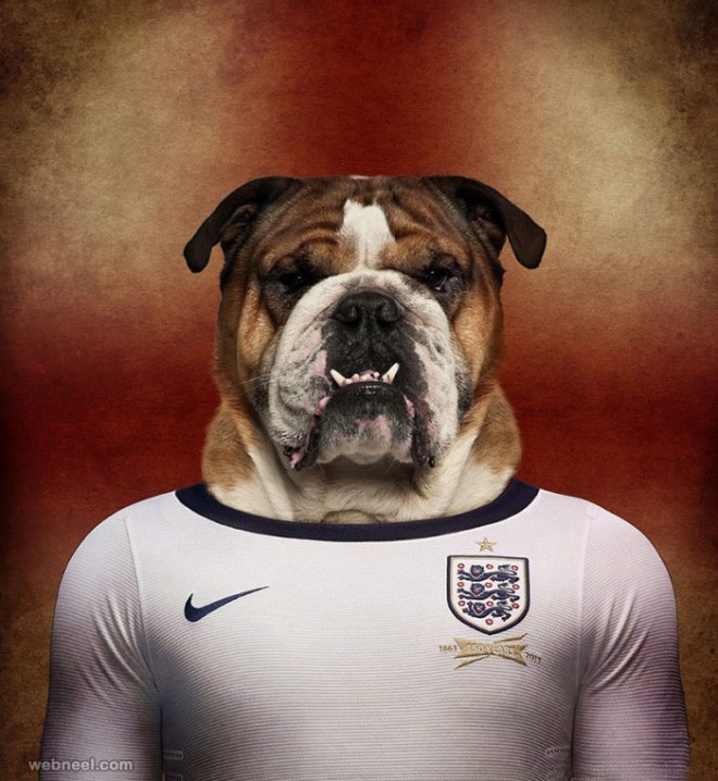 dog photo manipulation funny