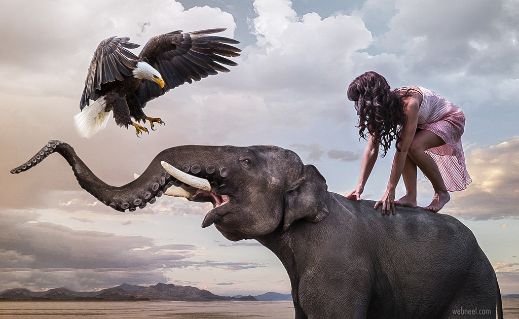 photo manipulation elephant animal by dikshitcherwoo