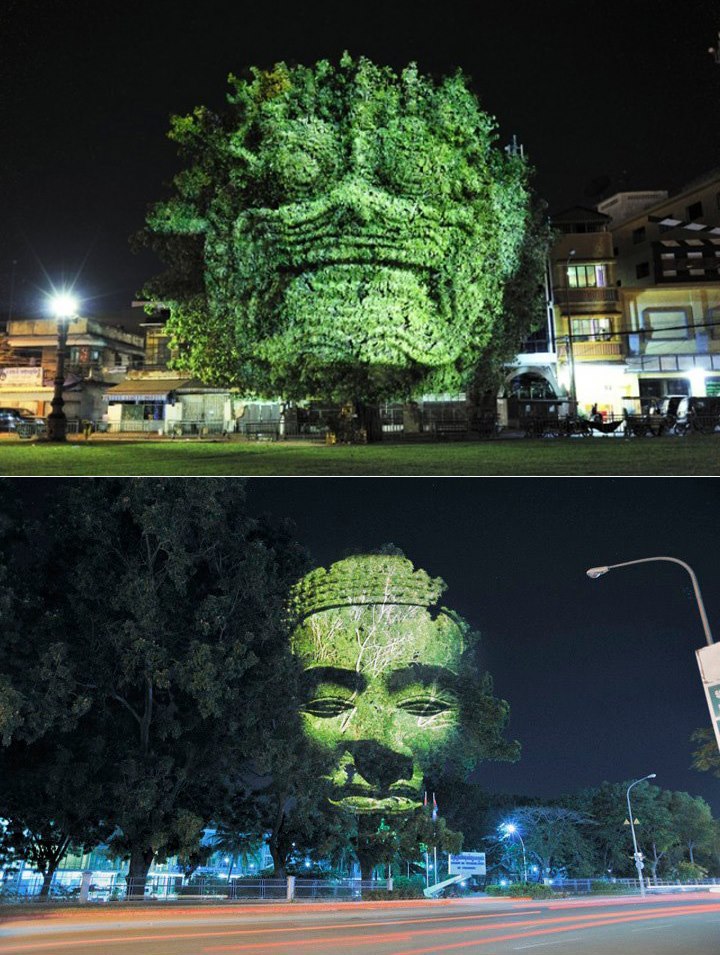 Creative Tree Art