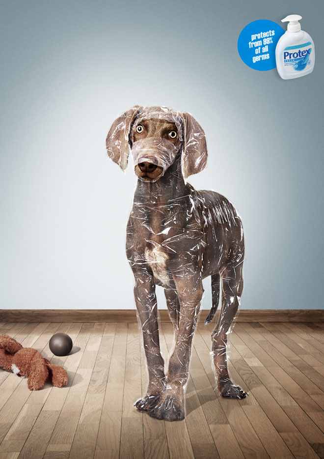 protex dog ads