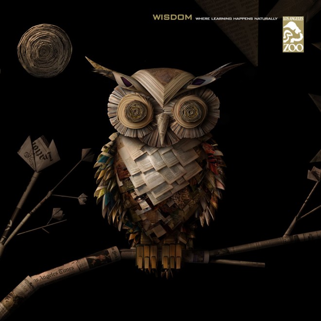 wisdom where learning happens naturally