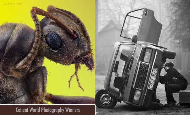 Cotient World Photography Announces Incredible Photography Awards