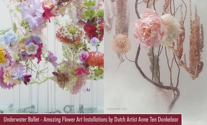 Underwater Ballet - Amazing Flower Art Installations by Dutch Artist Anne Ten Donkelaar
