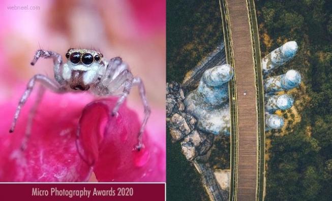 Micro Photography Awards 2020 – Enjoy the Award winning Photographs of minute things