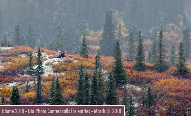 Biome 2018 - Bio Photo Contest Calls for Entries - March 31, 2018