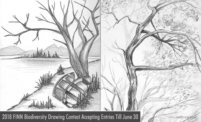 FINN International Biodiversity Drawing Contest - 30 June 2018
