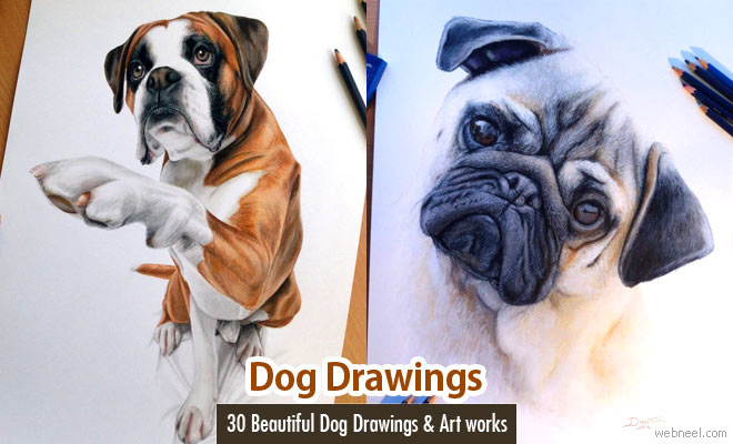 35 Beautiful Dog Drawings and Art works from top artists