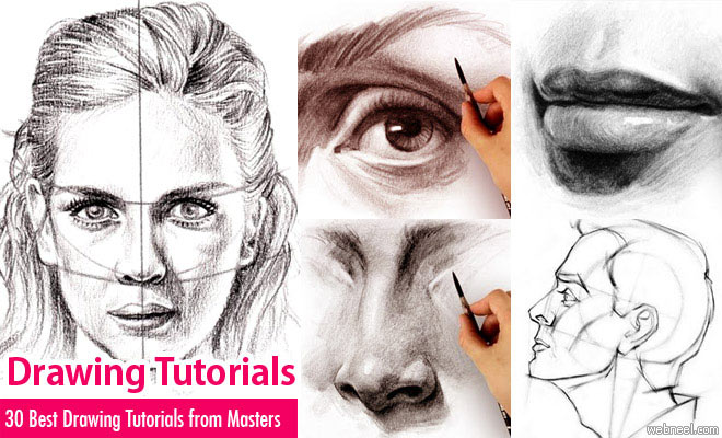 Drawing Tutorials