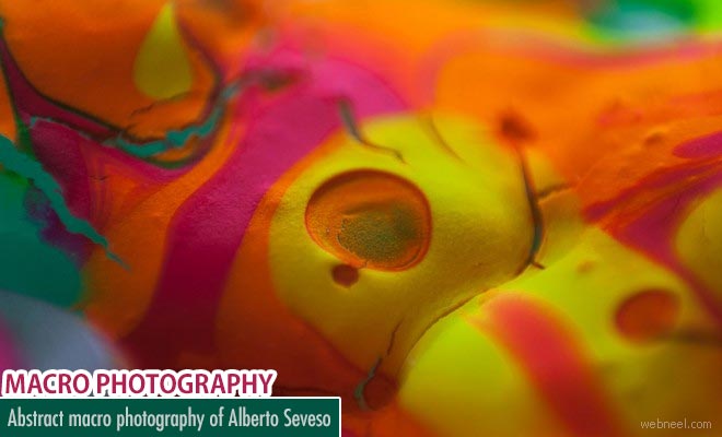 Colorful Abstract Macro Photography ideas By Alberto Seveso