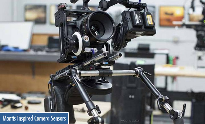 Mantis-Inspired Camera Sensors Developed by Viktor Gruev