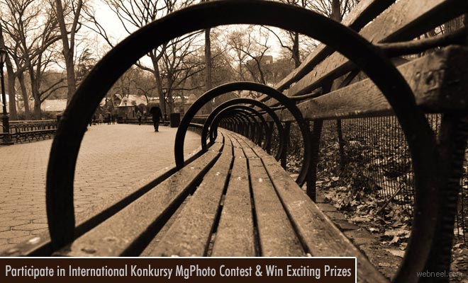 International Perspective Photography Contest by Mgphoto - 30 June 2018