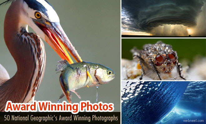 National Geographic Photos