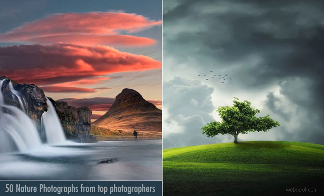 50 Beautiful Nature Photography Ideas from Top Photographers - 2018