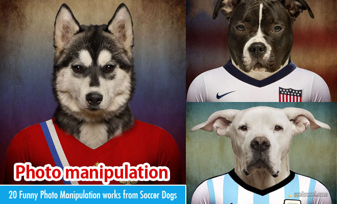 20 Funny Photo Manipulation Works Featuring Soccer Nations as Dogs