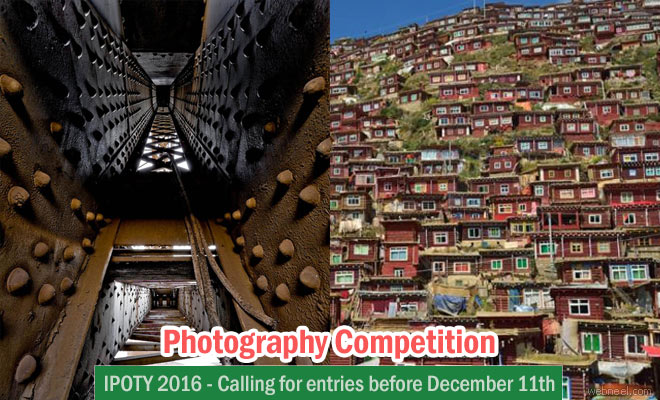 International Photographer of the Year - IPOTY 2016 your chance to win $4000