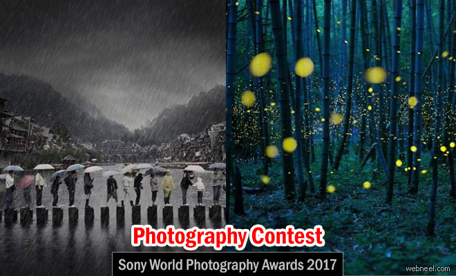 Sony World Photography Awards 2017 - Photography Contest