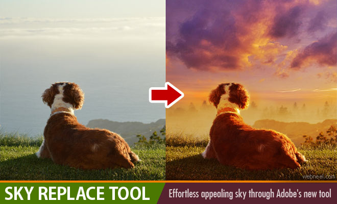 Bad News for Photo Editors - Sky Replacement Feature from Adobe Photoshop