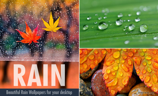 20 Beautiful HD Rain Wallpapers for your desktop