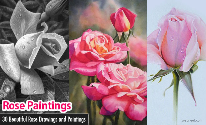25 Beautiful Rose Drawings and Paintings for your inspiration