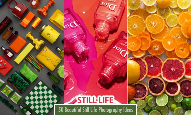 Still Life Photography