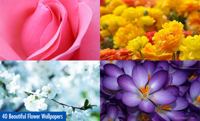 Flower wallpaper
