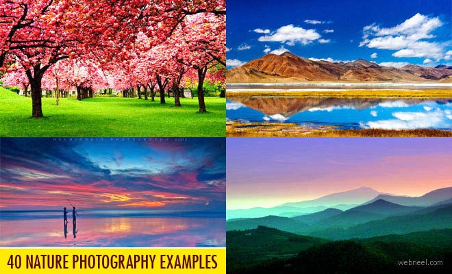 50 Beautiful Nature Photography Examples by Famous Photographers