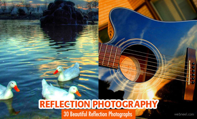 50 Stunning Reflection Photography examples and Tips for beginners