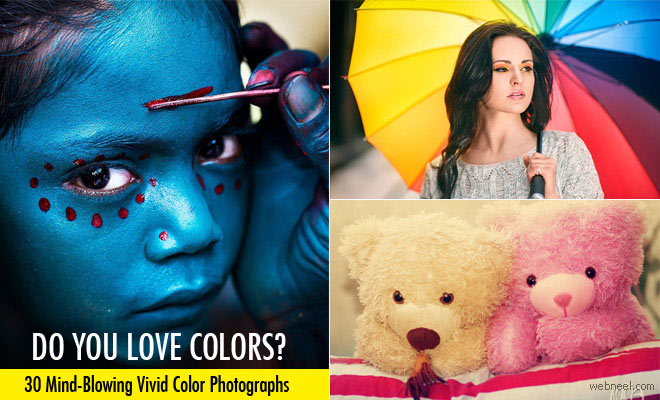 30 Beautiful, Vivid, and Colorful Photography Examples and Tips for Beginners