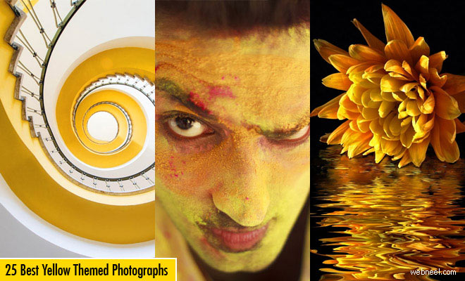 25 Award Winning Yellow themed Photography examples for you