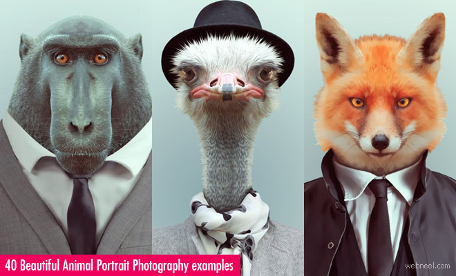 Zoo Portrait - A bizarre photo manipulation project by Yago Partal