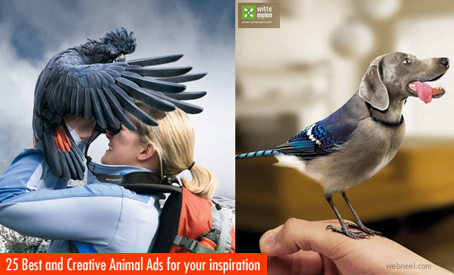 Animal Ads