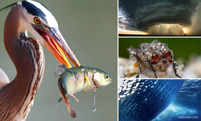 National Geographic Photos