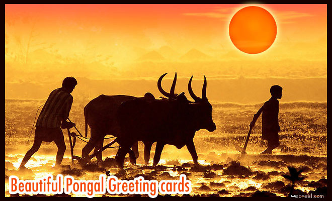 25 Beautiful Pongal Greeting Cards and Design ideas in Tamil