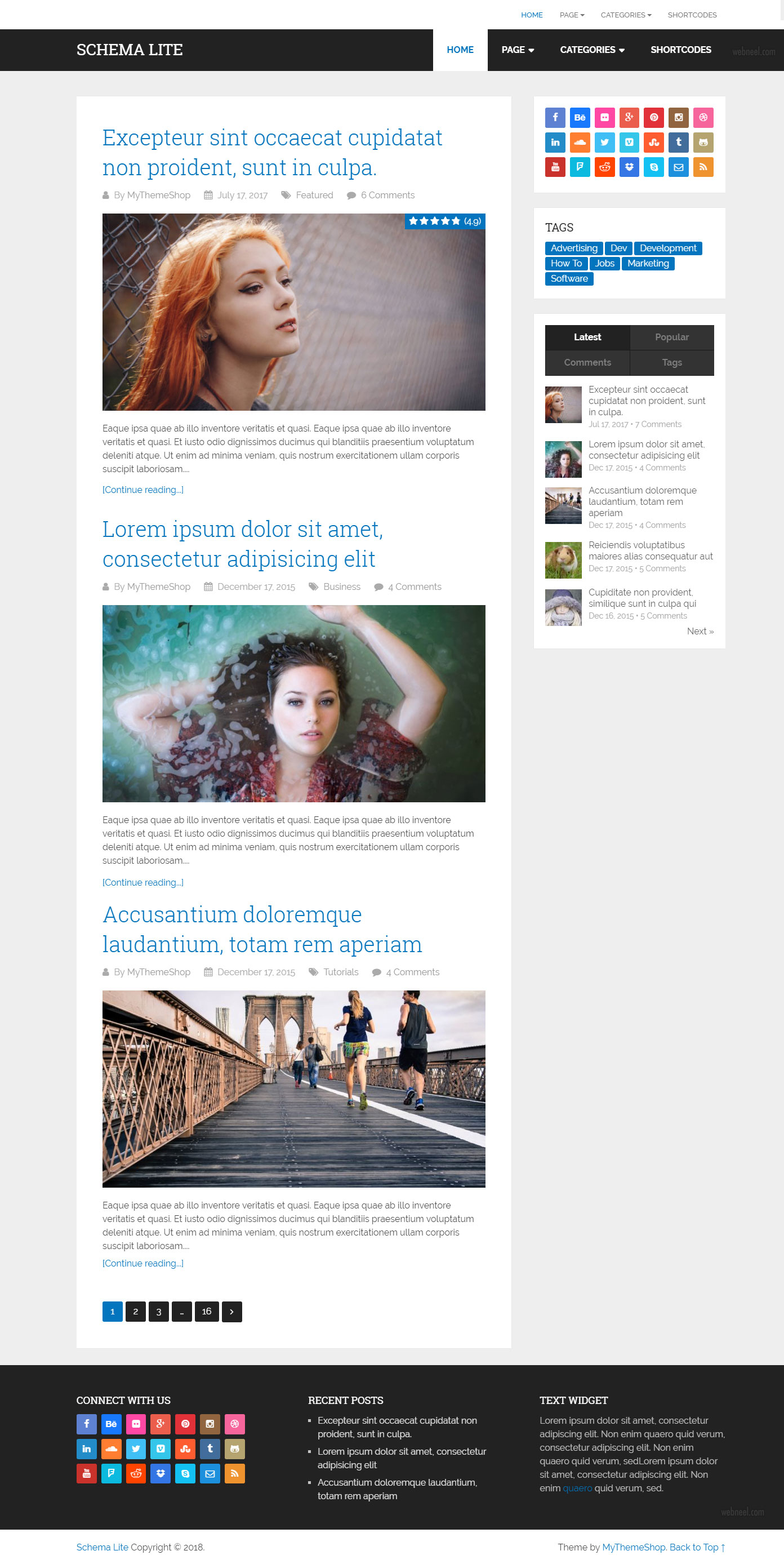 Schema Lite - Free Responsive wordpress theme