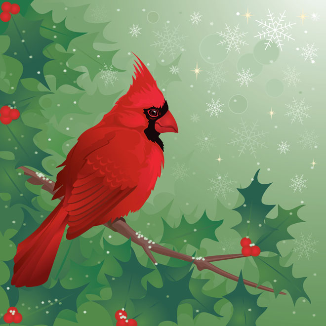 Bird Vector