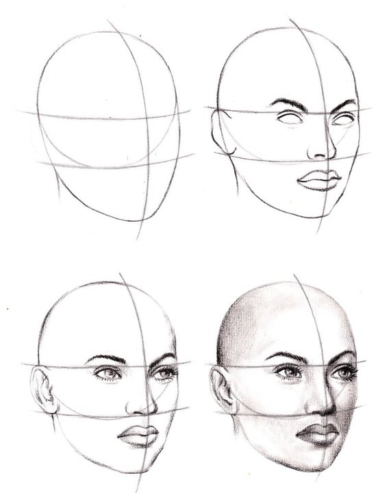 Anatomic study