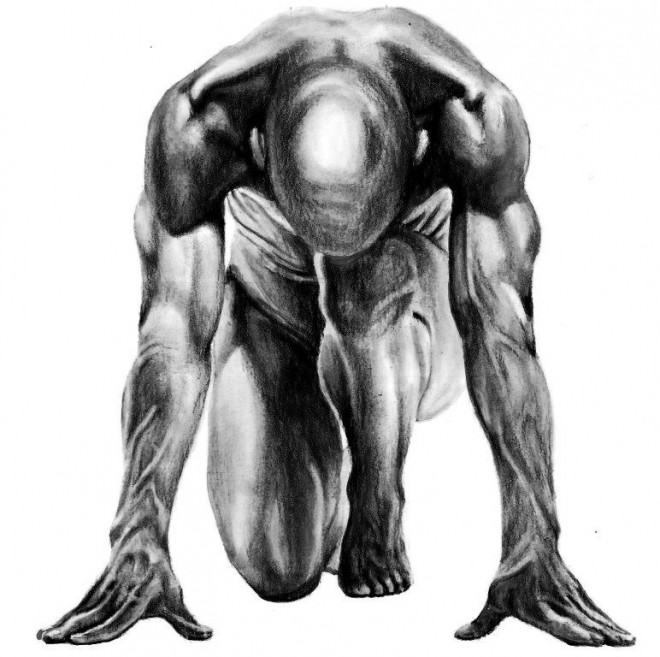 Anatomic study