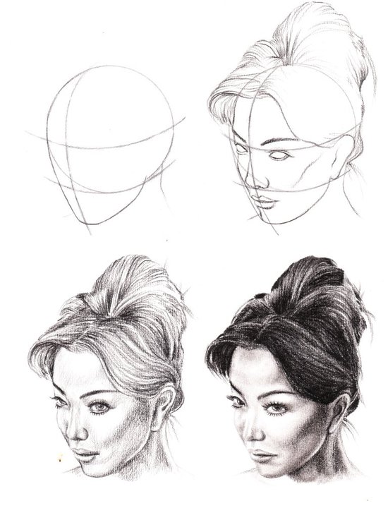 Anatomic study
