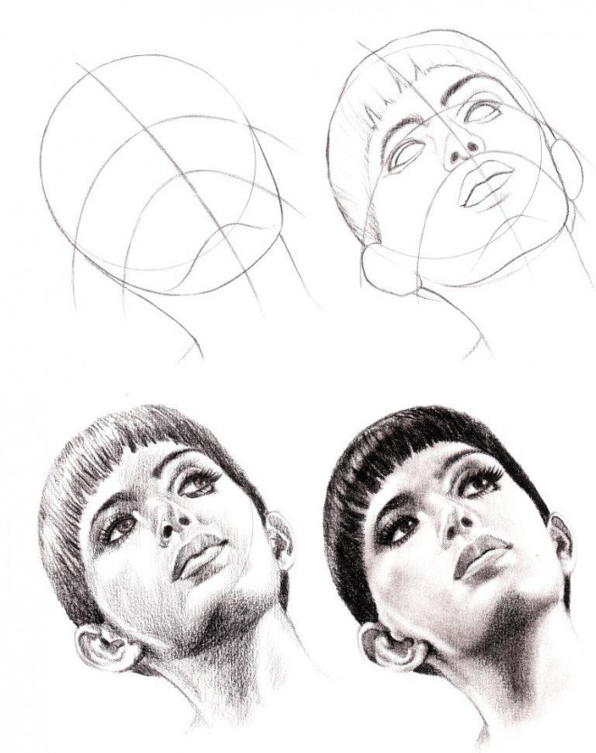 Anatomic study